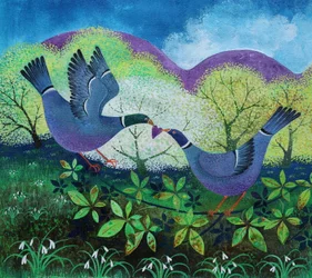 Liefdesvogels