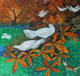 Witte Duiven