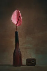Elegant Anthurium en Radio