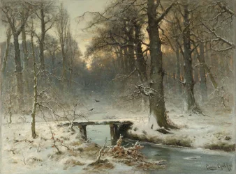 Een januari-avond in de Haagse bossen
