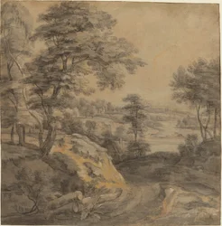Bosrijk landschap met een weg