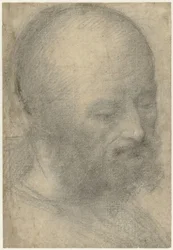 Hoofd van een oude man met baard