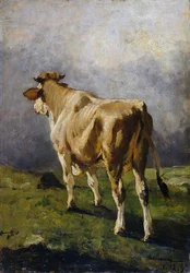 Hoge berg