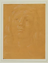 Portret van een jongeman, gezicht, opkijkend ...