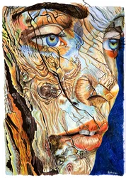 Portret van gebarsten hout