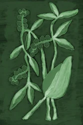 Botanische tinten groen
