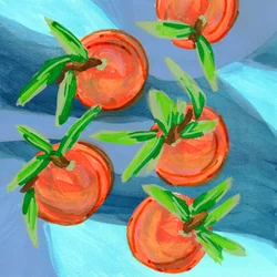 Levendige citrusvruchten