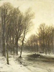Een middagzicht op besneeuwde bossen