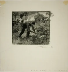 Worteluittrekkers