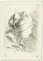 Studieblad met een vrouwenhoofd met hoofddoek