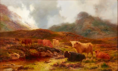 Heideland bij Clachaig, Glencoe