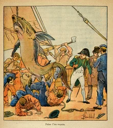 Illustratie van Bombled Louis (1862-1927) uit het boek 