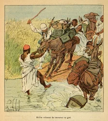 De oorlog in Madagaskar-Anekdotische geschiedenis van de Franse expedities van 1885-1895 door Henri Galli, geïllustreerd door Louis Bombled: Muilezels weigeren een doorwaadbare plaats over te steken tijdens de Franse expeditie naar Madagaskar in 1895