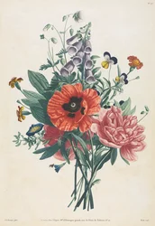 Collectie van Bloemen en Vruchten Geschilderd naar de Natuur: Boeket van Vingerhoedskruid, Clematis, Viooltje, Pioenroos, Papaver en Gele Daglelie