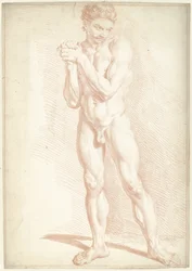 Mannelijk naakt, staand