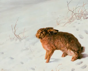 Haas in de sneeuw, 1875