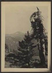 [Abe Lincoln Peak].