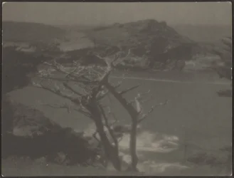 [Cypres aan Kust]