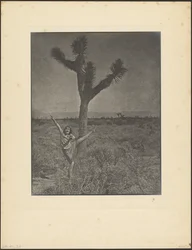 [Danseres bij Joshua Tree]