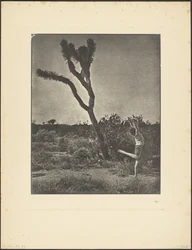 [Danseres bij Joshua Tree]