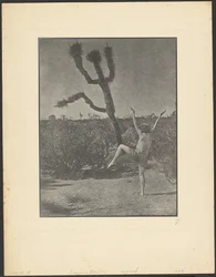 Dansende meester