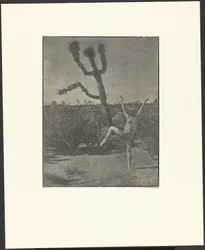 Dansende meester