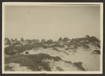 [Duinen]