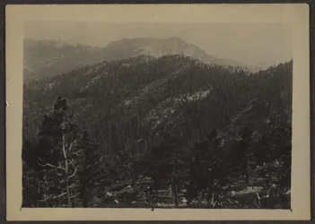 [Landschap]