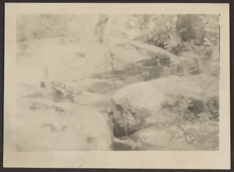 [Landschap]