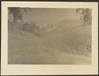 [Landschap]