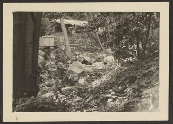 [Landschap]