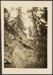 [Landschap]