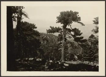 [Landschap]