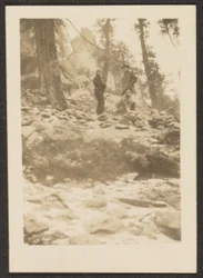 [Landschap]