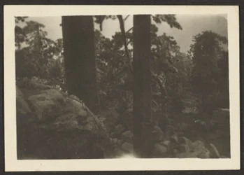 [Landschap]