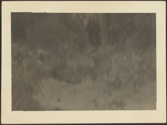 [Landschap]