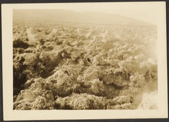 [Landschap]