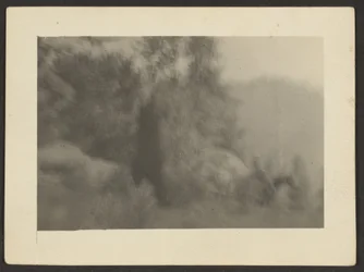 [Landschap]