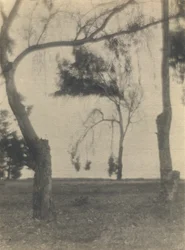 [Landschap met bomen]