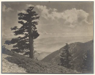 [On Ridge to Old Baldy].