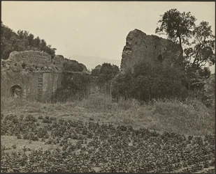 Ruïnes van Missie Purisima Concepcion