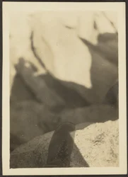 [Shoe on Rocks].