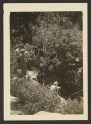 [Lente in Fern Valley]