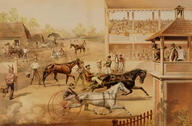 Klaar voor de draf Breng uw paarden naar boven
