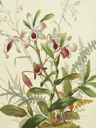 Bloemen