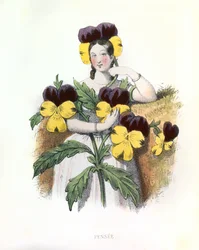 Allegorieën, de Pensee