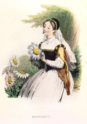Allegorie, la marguerite