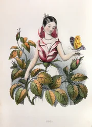 Allegorieën, la rose