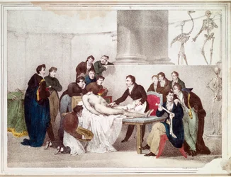 De anatomische les