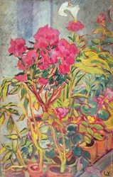 Azalea